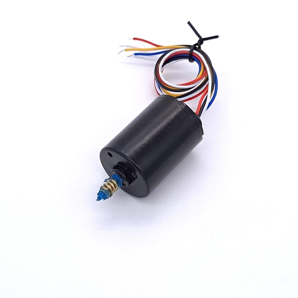 RW-2838 (X, DC24V10rpm)